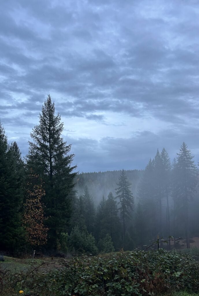 The Wilderness A world hushed by the cold.