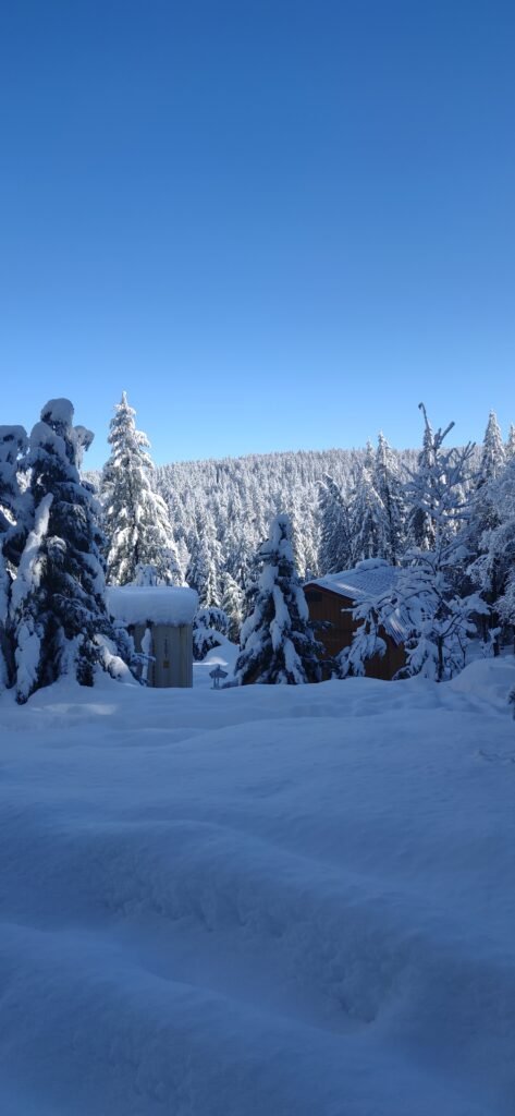 Power Outages Feeling a bit inundated