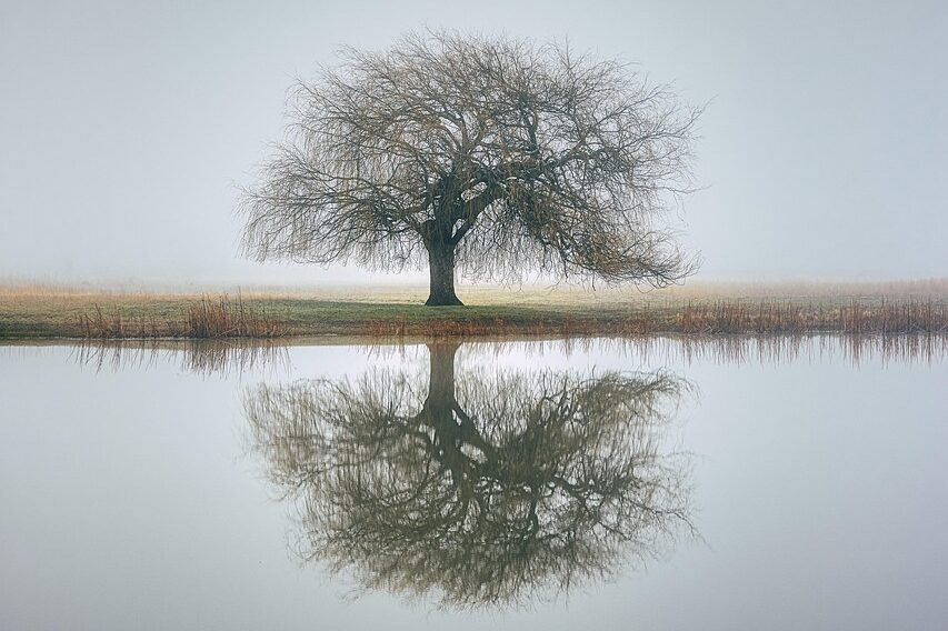 about nature and faith